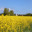 Danmark - landskabsfotos